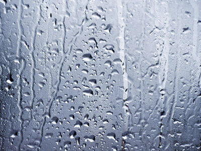  How to Prevent Condensation in Shipping Containers